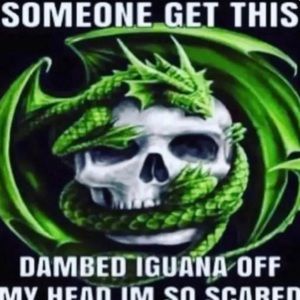 Meet your Posher, Greg